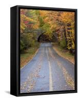 Road Through Acadia National Park in the Fall, Maine, Usa-Joanne Wells-Framed Stretched Canvas