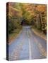 Road Through Acadia National Park in the Fall, Maine, Usa-Joanne Wells-Stretched Canvas