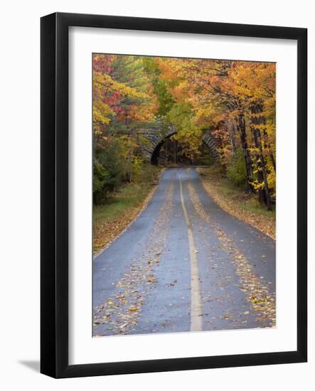 Road Through Acadia National Park in the Fall, Maine, Usa-Joanne Wells-Framed Photographic Print