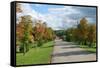 Road through Autamn Forest-laufer-Framed Stretched Canvas