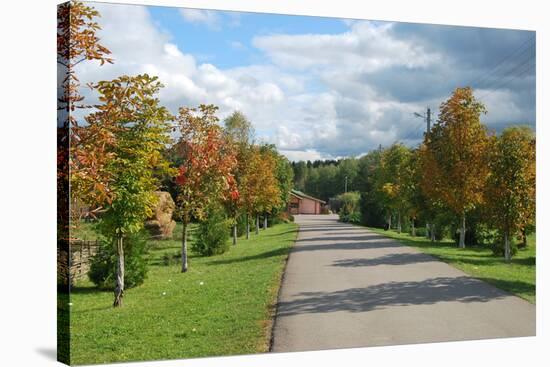 Road through Autamn Forest-laufer-Stretched Canvas