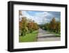 Road through Autamn Forest-laufer-Framed Photographic Print