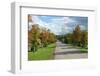 Road through Autamn Forest-laufer-Framed Photographic Print