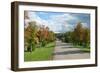 Road through Autamn Forest-laufer-Framed Photographic Print