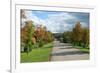 Road through Autamn Forest-laufer-Framed Photographic Print