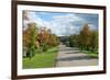 Road through Autamn Forest-laufer-Framed Photographic Print