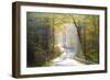 Road Through Autumn Woodland, Saxon Switzerland, Saxony, Germany-Peter Adams-Framed Photographic Print