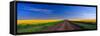 Road through Canola Field, Washington, USA-Terry Eggers-Framed Stretched Canvas