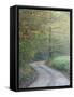 Road through Cataloochee Valley, Great Smokey Mountians National Park, North Carolina, USA-Adam Jones-Framed Stretched Canvas
