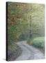 Road through Cataloochee Valley, Great Smokey Mountians National Park, North Carolina, USA-Adam Jones-Stretched Canvas