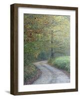 Road through Cataloochee Valley, Great Smokey Mountians National Park, North Carolina, USA-Adam Jones-Framed Photographic Print