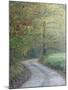 Road through Cataloochee Valley, Great Smokey Mountians National Park, North Carolina, USA-Adam Jones-Mounted Photographic Print