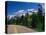 Road Through Glacier National Park-Mick Roessler-Stretched Canvas