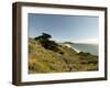 Road Through Pacific Grove and Pebble Beach-Carol Highsmith-Framed Photo