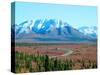 Road Through Park, Autumn, Denali National Park, Alaska, USA-Terry Eggers-Stretched Canvas