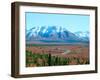 Road Through Park, Autumn, Denali National Park, Alaska, USA-Terry Eggers-Framed Photographic Print