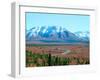 Road Through Park, Autumn, Denali National Park, Alaska, USA-Terry Eggers-Framed Photographic Print