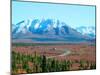 Road Through Park, Autumn, Denali National Park, Alaska, USA-Terry Eggers-Mounted Photographic Print