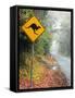 Road through Rainforest, Lamington National Park, Gold Coast Hinterland, Queensland, Australia-David Wall-Framed Stretched Canvas
