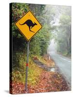 Road through Rainforest, Lamington National Park, Gold Coast Hinterland, Queensland, Australia-David Wall-Stretched Canvas