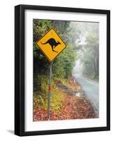 Road through Rainforest, Lamington National Park, Gold Coast Hinterland, Queensland, Australia-David Wall-Framed Photographic Print