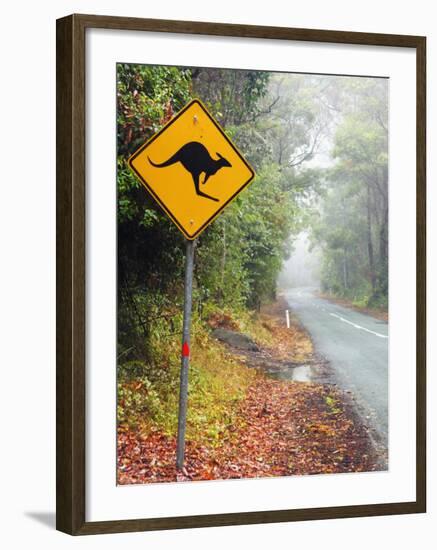 Road through Rainforest, Lamington National Park, Gold Coast Hinterland, Queensland, Australia-David Wall-Framed Photographic Print