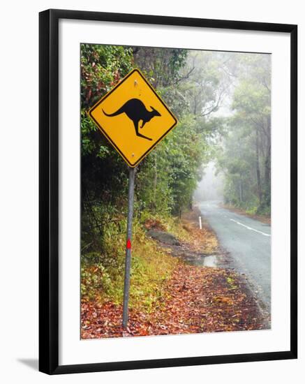 Road through Rainforest, Lamington National Park, Gold Coast Hinterland, Queensland, Australia-David Wall-Framed Photographic Print