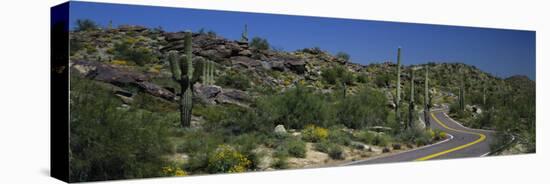 Road Through the Desert, Phoenix, Arizona, USA-null-Stretched Canvas