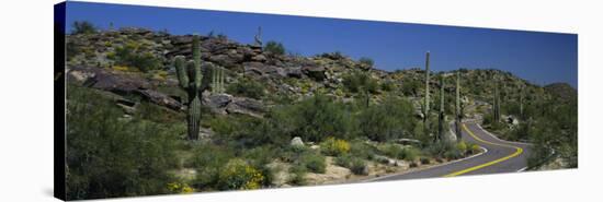Road Through the Desert, Phoenix, Arizona, USA-null-Stretched Canvas