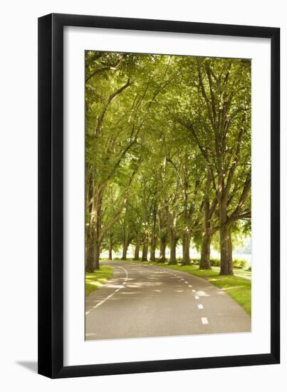 Road Through the Grove-Karyn Millet-Framed Photographic Print