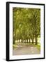 Road Through the Grove-Karyn Millet-Framed Photographic Print