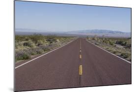 Road Through the Mojave Desert, California, United States of America, North America-Ethel Davies-Mounted Photographic Print