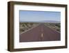 Road Through the Mojave Desert, California, United States of America, North America-Ethel Davies-Framed Photographic Print