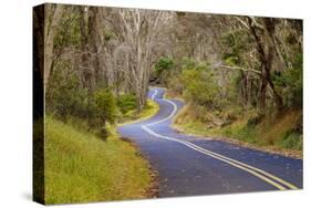 Road through Volcanoes National Park-W. Perry Conway-Stretched Canvas