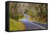 Road through Volcanoes National Park-W. Perry Conway-Framed Stretched Canvas