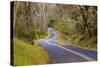 Road through Volcanoes National Park-W. Perry Conway-Stretched Canvas