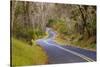 Road through Volcanoes National Park-W. Perry Conway-Stretched Canvas