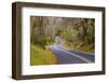 Road through Volcanoes National Park-W. Perry Conway-Framed Photographic Print