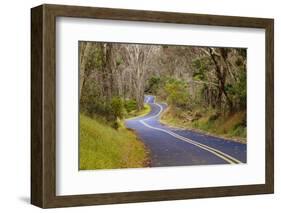 Road through Volcanoes National Park-W. Perry Conway-Framed Photographic Print