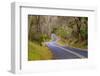 Road through Volcanoes National Park-W. Perry Conway-Framed Photographic Print