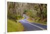 Road through Volcanoes National Park-W. Perry Conway-Framed Photographic Print