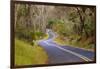 Road through Volcanoes National Park-W. Perry Conway-Framed Photographic Print