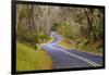 Road through Volcanoes National Park-W. Perry Conway-Framed Photographic Print