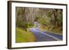 Road through Volcanoes National Park-W. Perry Conway-Framed Photographic Print