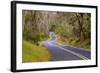 Road through Volcanoes National Park-W. Perry Conway-Framed Photographic Print
