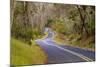 Road through Volcanoes National Park-W. Perry Conway-Mounted Photographic Print