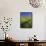 Road Thru Green Wheat Field, Palouse, Washington, USA-Terry Eggers-Framed Stretched Canvas displayed on a wall