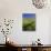 Road Thru Green Wheat Field, Palouse, Washington, USA-Terry Eggers-Stretched Canvas displayed on a wall