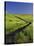 Road Thru Green Wheat Field, Palouse, Washington, USA-Terry Eggers-Stretched Canvas