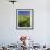 Road Thru Green Wheat Field, Palouse, Washington, USA-Terry Eggers-Framed Photographic Print displayed on a wall